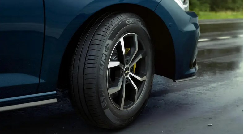 Pneu Michelin Energy Saver Plus