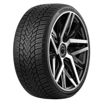 205/50R16 91V XL ICECRUISER I