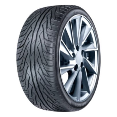 255/40ZR20 101W XL SSP601